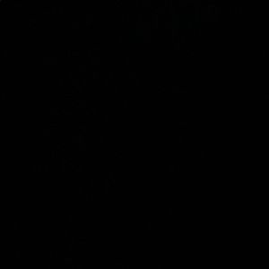 Meet your Posher, Shanice